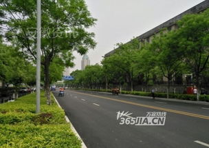 蕪湖路微光志 精品工程改造中的倔強與溫柔